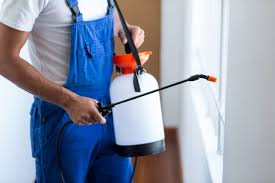 Best Fumigation Services  in Rancho Cordova, CA